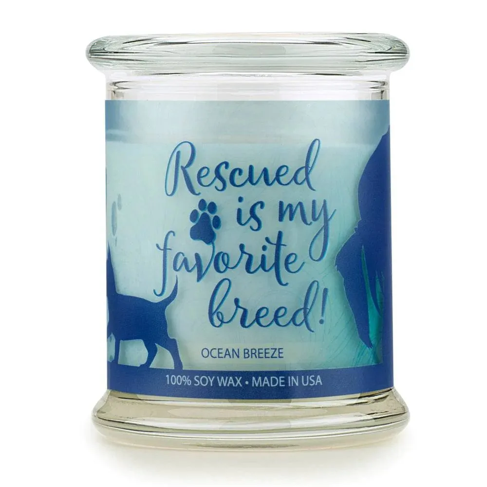 Sentiments Candle