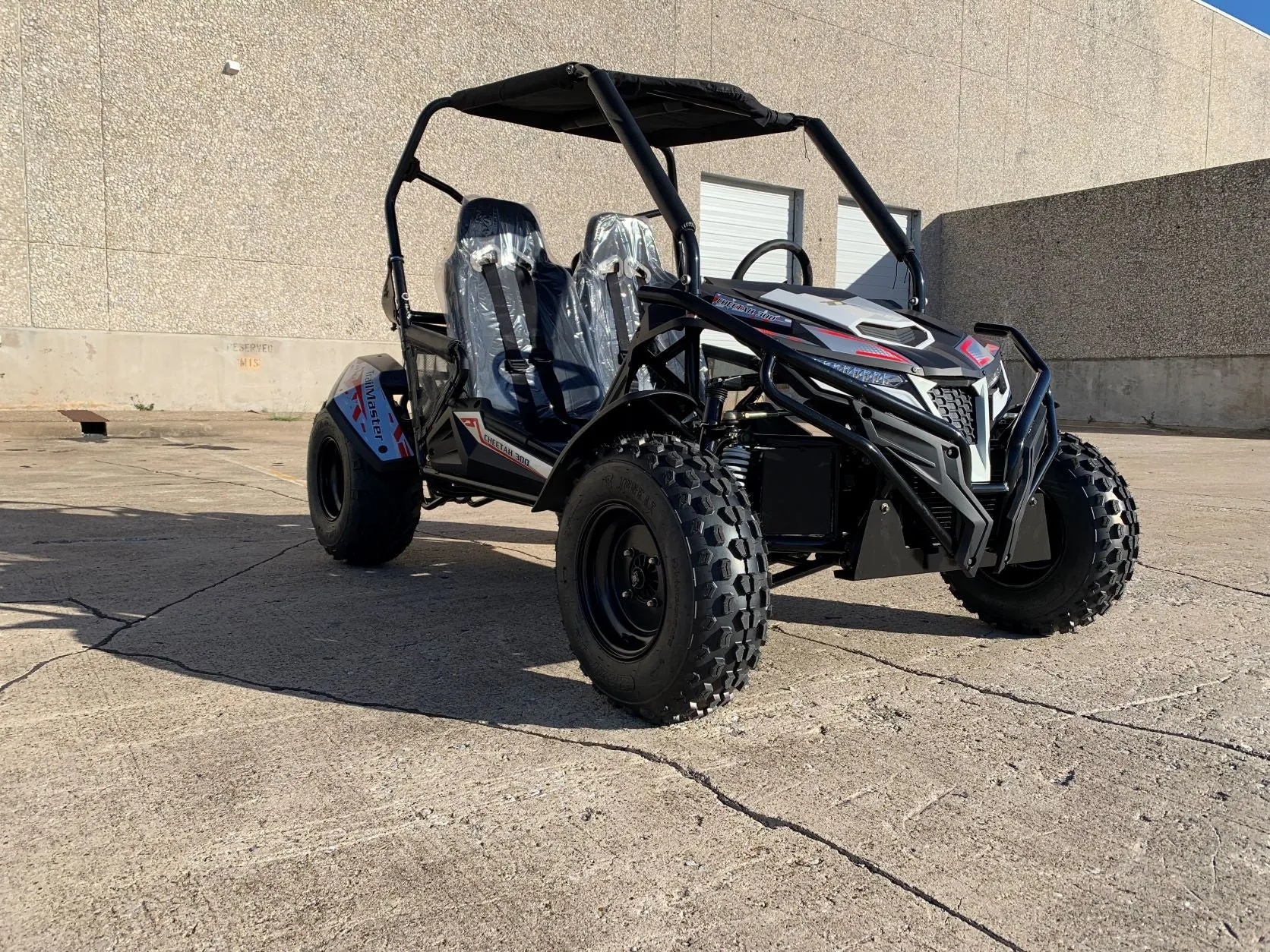 Trailmaster Cheetah 300E Off Road UTV/Go kart 18 HP Fuel Injected, Upgraded rear suspension
