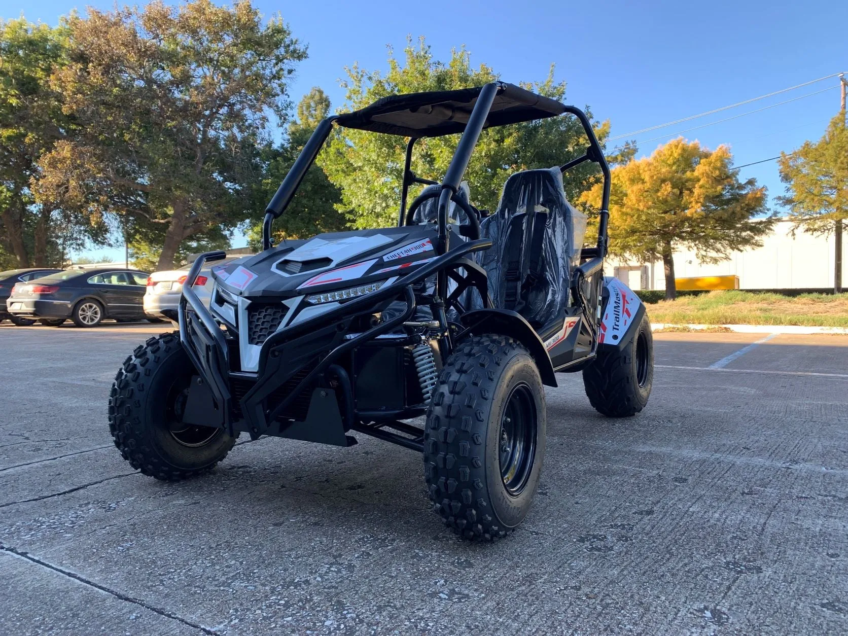 Trailmaster Cheetah 300E Off Road UTV/Go kart 18 HP Fuel Injected, Upgraded rear suspension